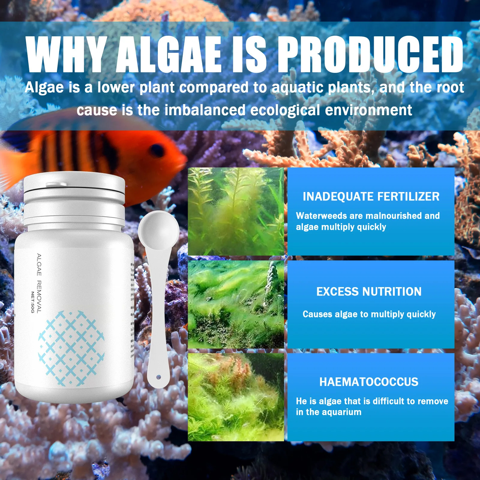 Algae Control Tablets for Aqua - Water Purification Tablet ulasan dan harga