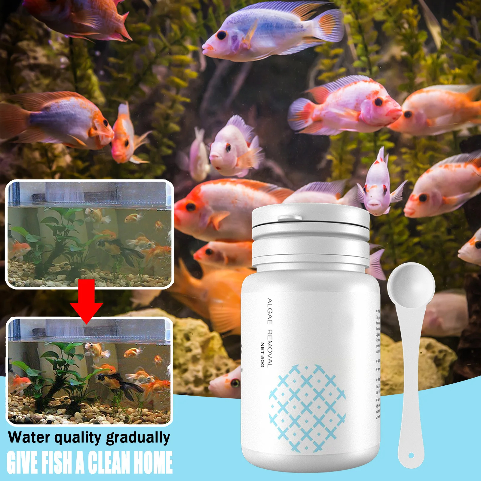 Algae Control Tablets for Aqua - Water Purification Tablet ulasan dan harga