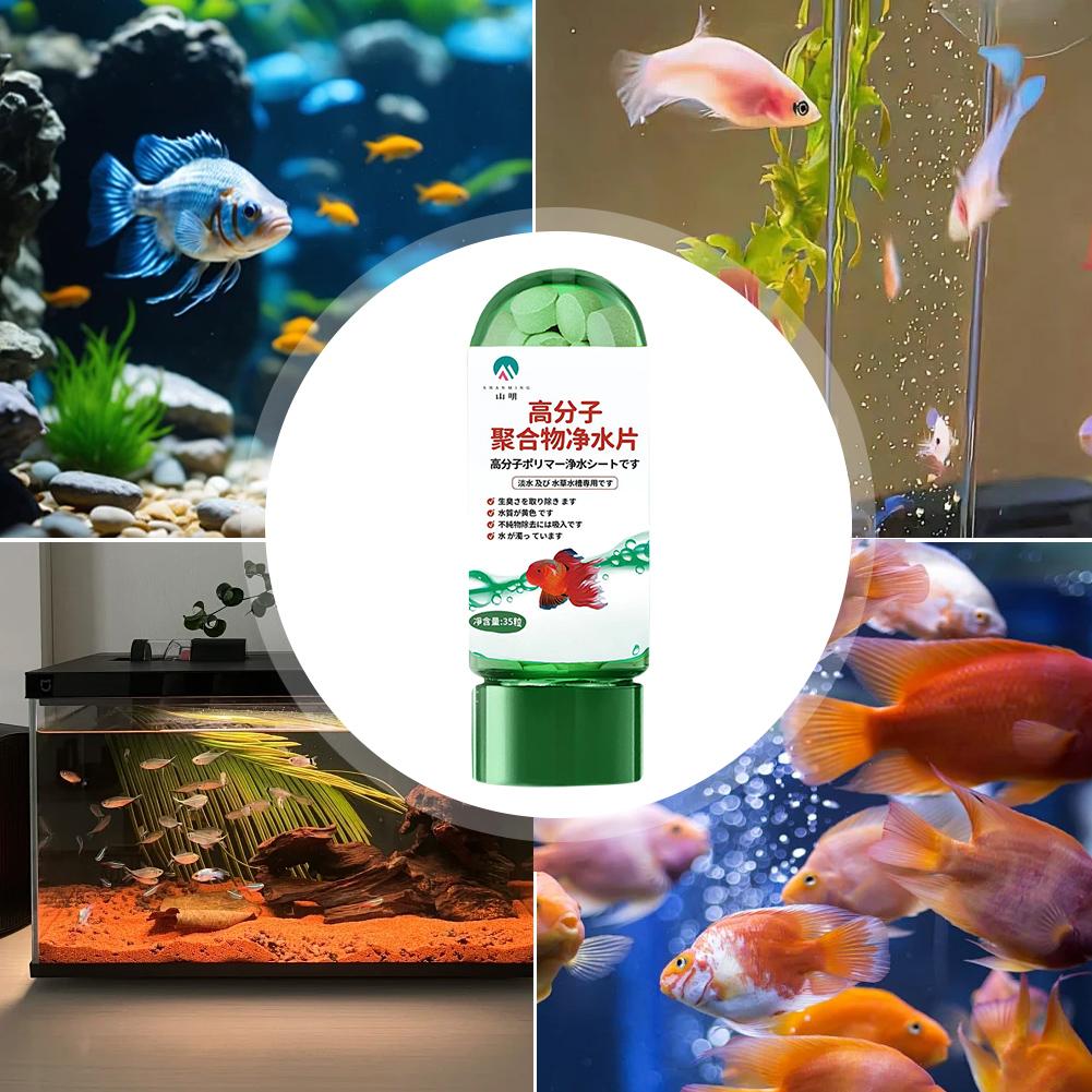 Water Purification Tablets Eco - Water Purification Tablet ulasan dan harga