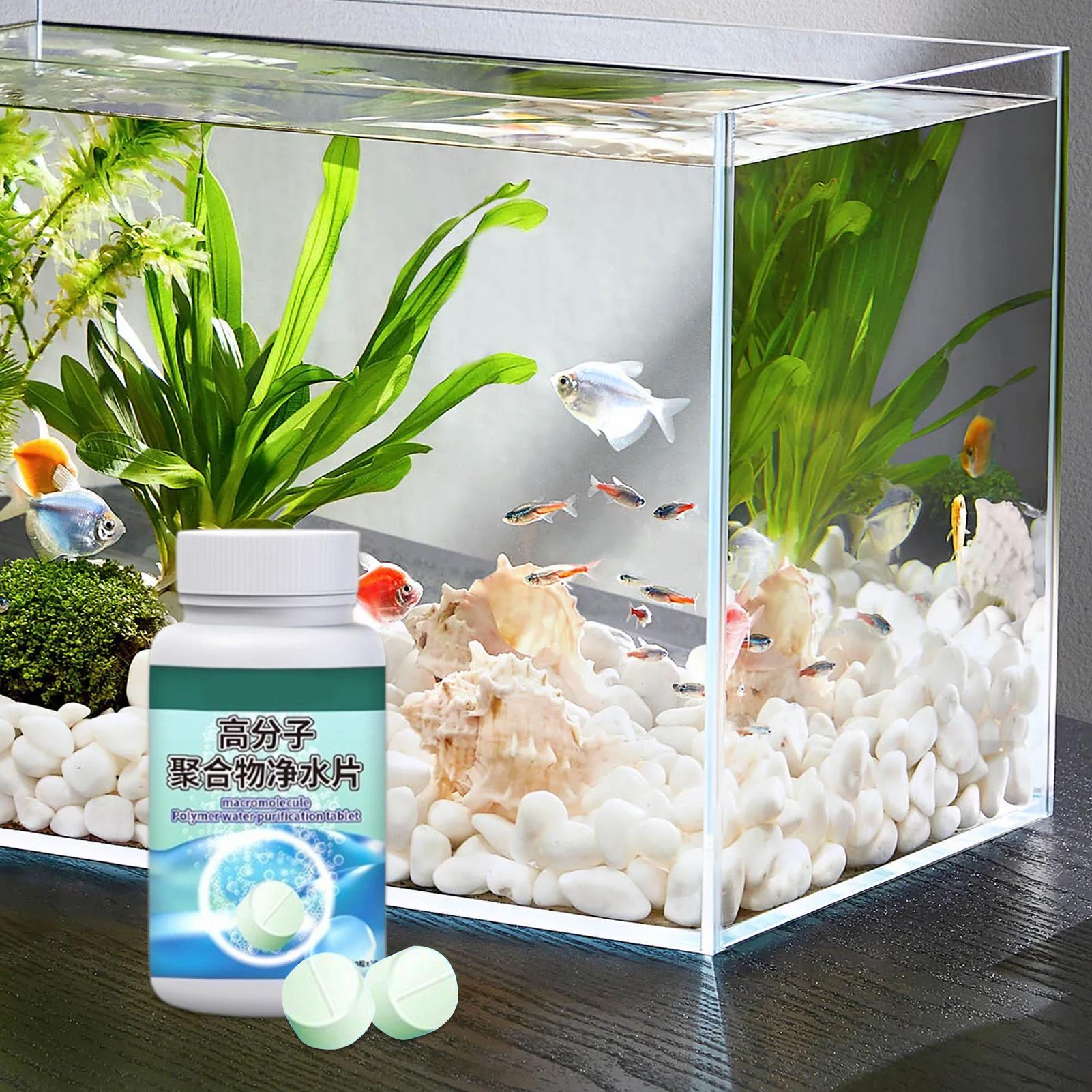 Fish Tank Water Clarifier Fast - Water Purification Tablet ulasan dan harga