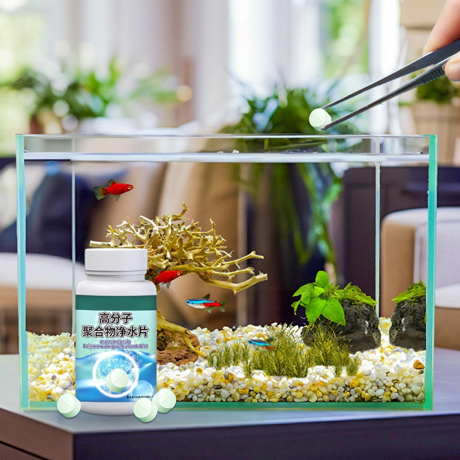 Fish Tank Water Clarifier Fast - Water Purification Tablet ulasan dan harga