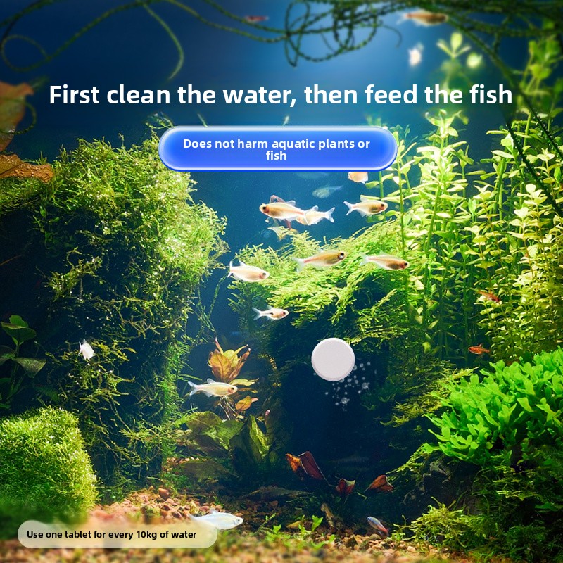 Advanced Water Purification Ta - Water Purification Tablet ulasan dan harga