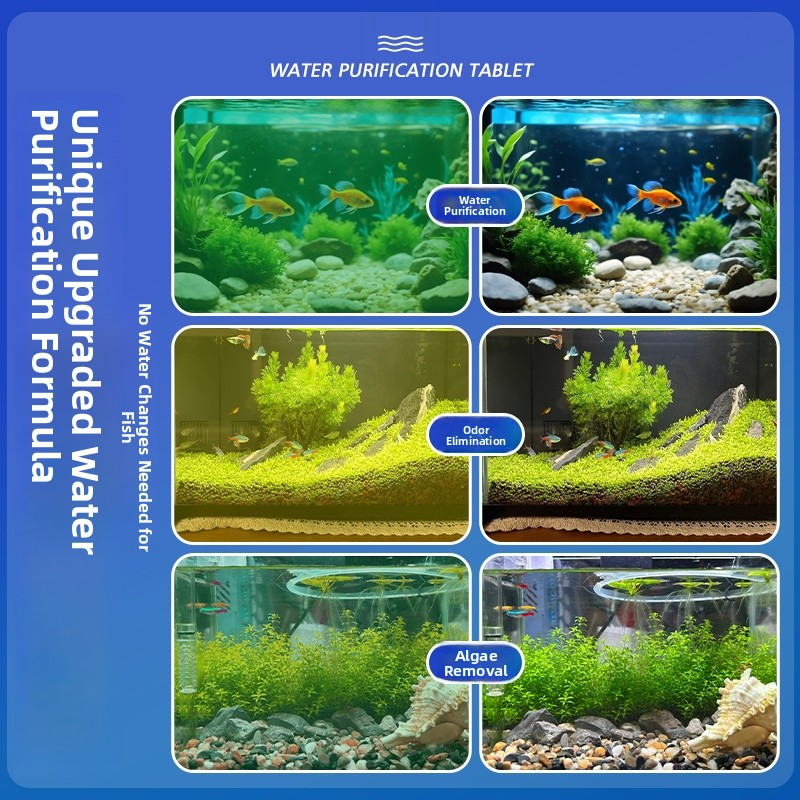Advanced Water Purification Ta - Water Purification Tablet ulasan dan harga